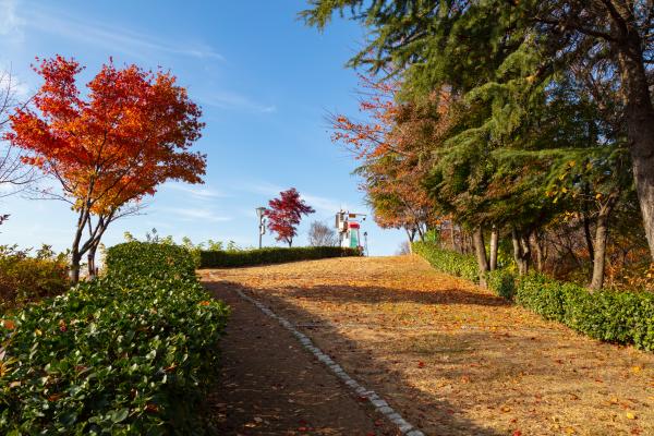 Walk into the Local Neighborhood from Daejeon Station